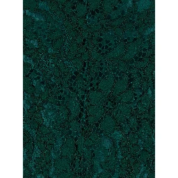 Green Long dress with all-over lace embroidery in fabric for women