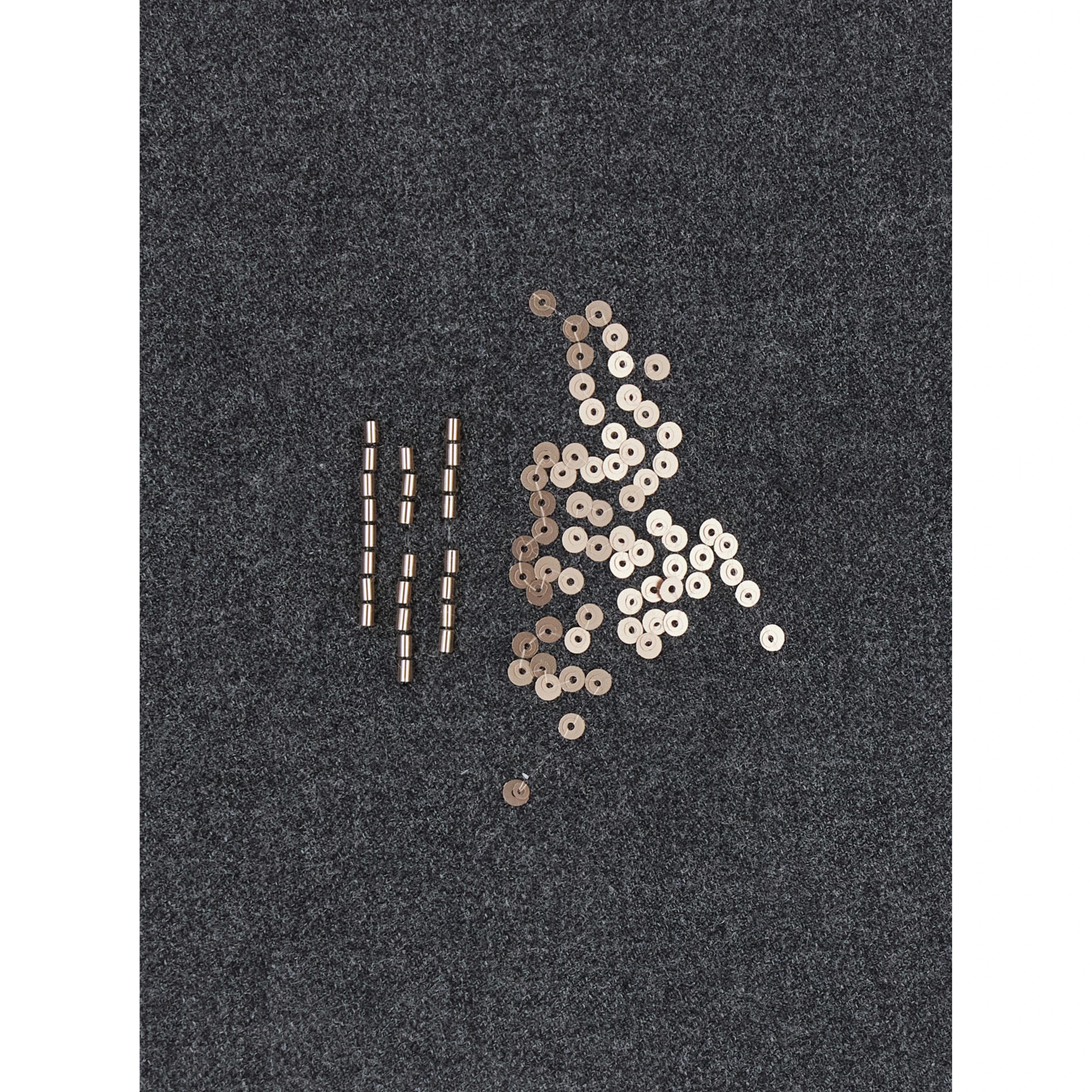 Embroidered skirt in gray polyester for women