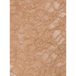 Beige Pencil Skirt with All-Over Lace Embroidery in Fabric for Women