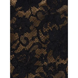 Black A-Line Skirt with Scalloped Hem and All-Over Lace Embroidery in Fabric for Women
