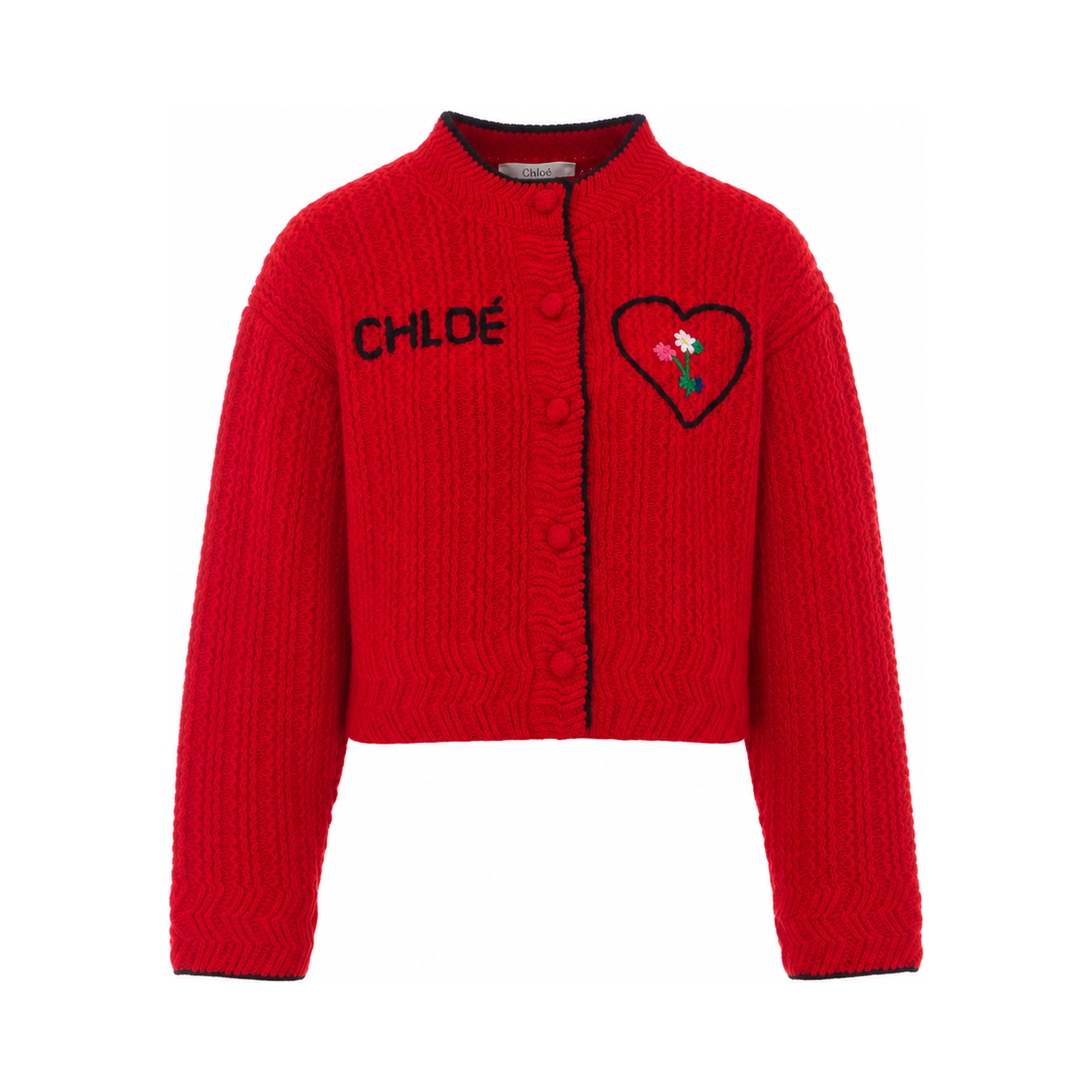 Chloè Sweaters