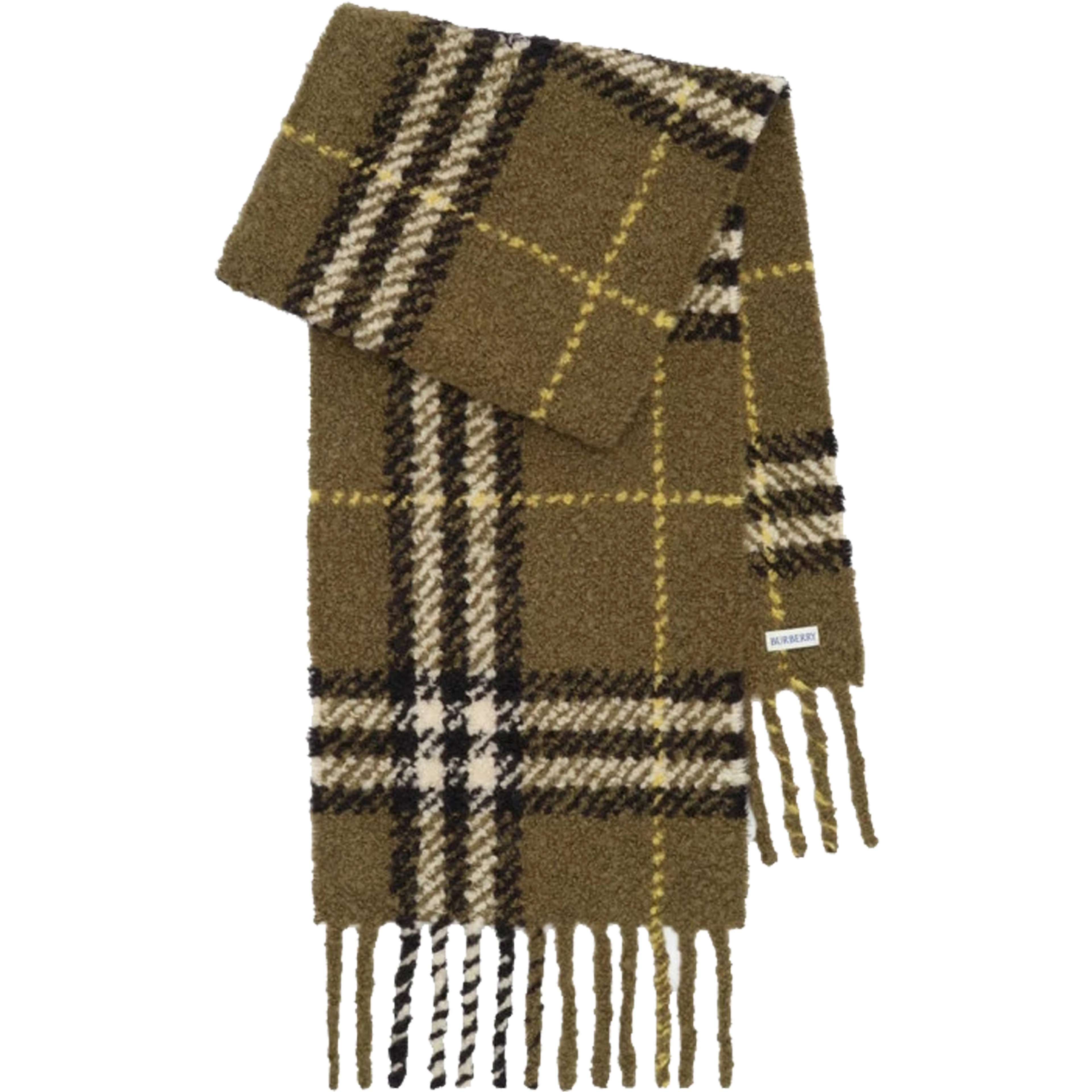Burberry Scarfs