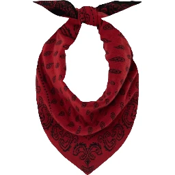 GUEST IN RESIDENCE Scarfs