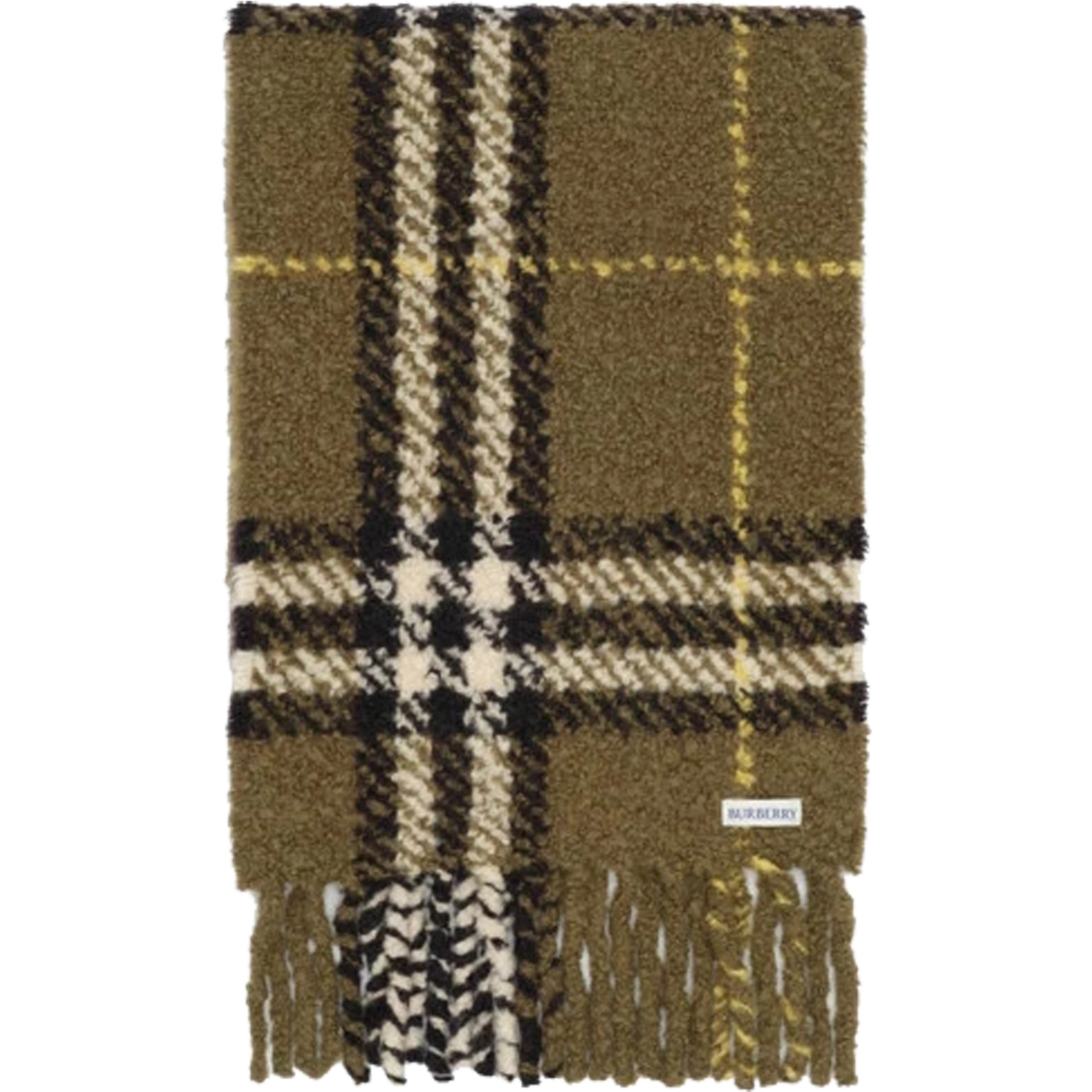 Burberry Scarfs