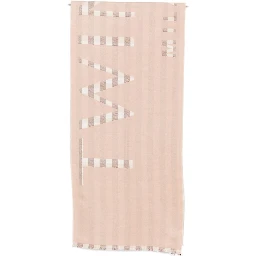 Twin-set Scarfs