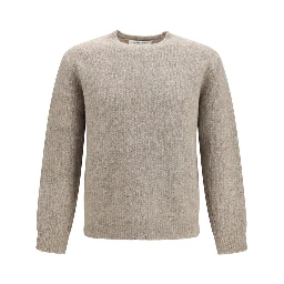 Gray Alpaca Vicugna Pacos Sweatshirt