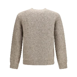 Gray Alpaca Vicugna Pacos Sweatshirt