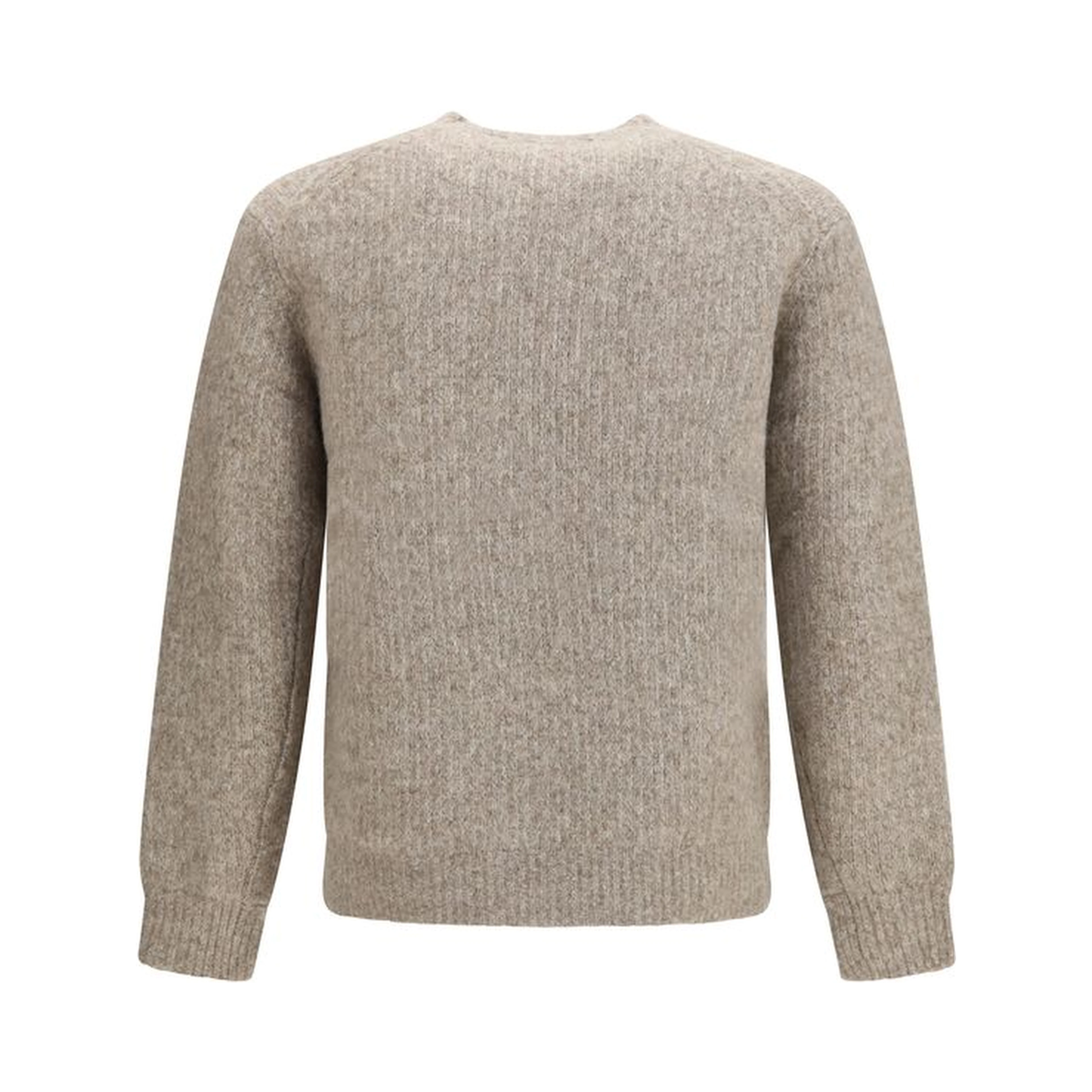 Gray Alpaca Vicugna Pacos Sweatshirt