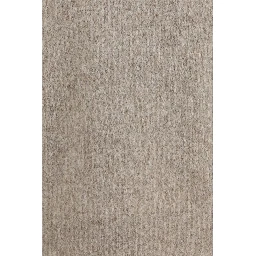 Gray Alpaca Vicugna Pacos Sweatshirt