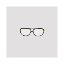 Bottega Veneta Sunglasses