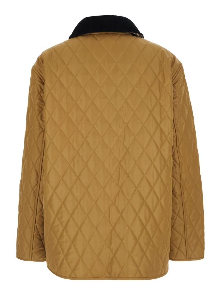 DRANEFELD beige Jacket with logo lettering on the front in Tech Fabric women alternative