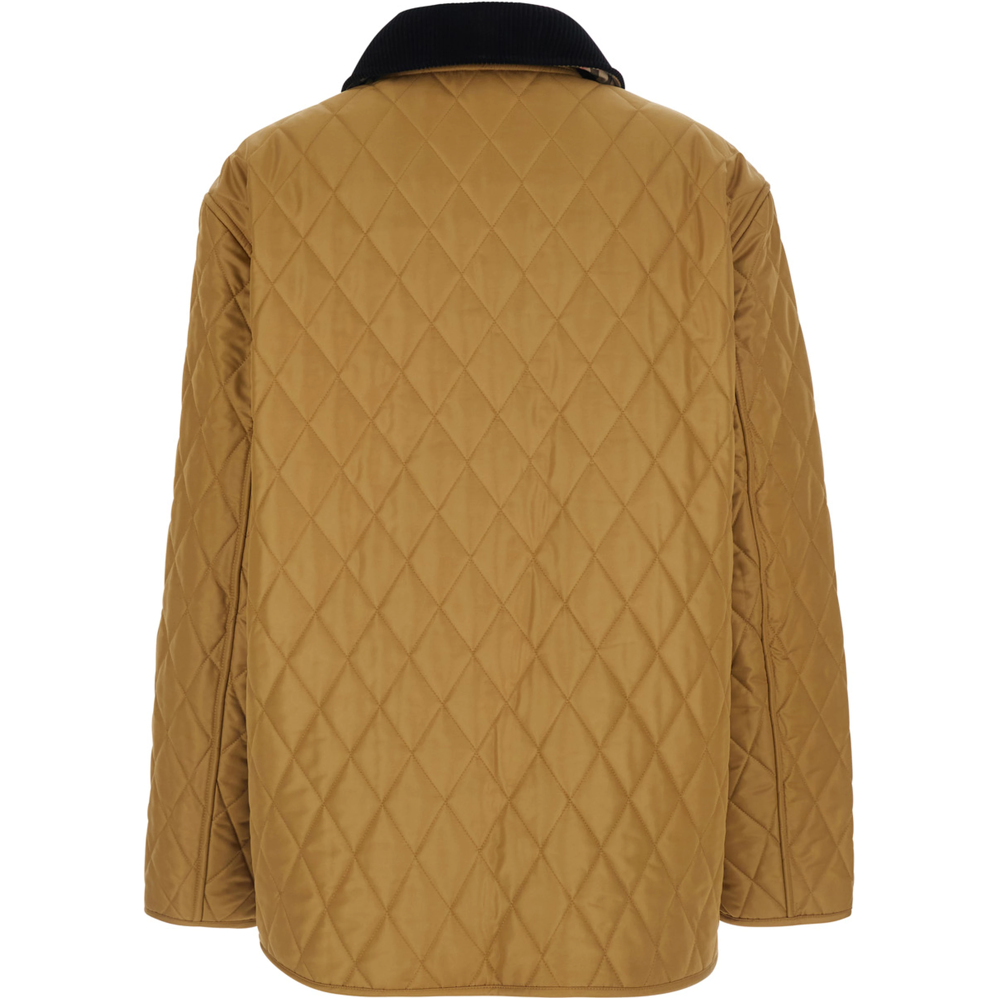 DRANEFELD beige Jacket with logo lettering on the front in Tech Fabric women