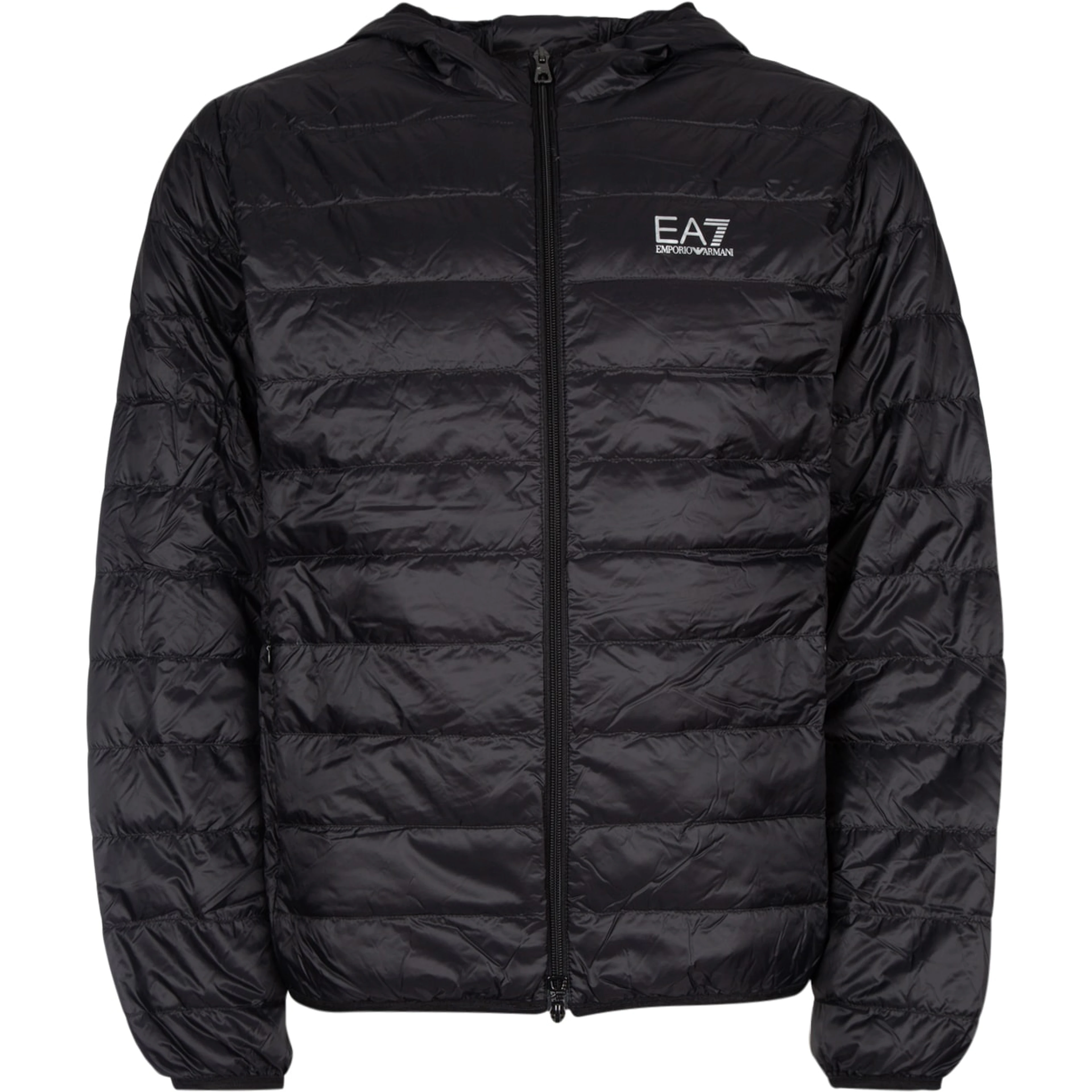 TRAIN CORE ID M DOWN LIGHT JACKET HOODIE CC