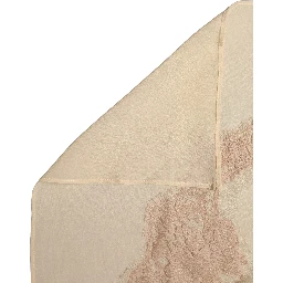 Light Beige Ornate Lace Neck Shawl Scarf