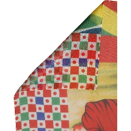 Multicolor Silk Printed Square Foulard Scarf
