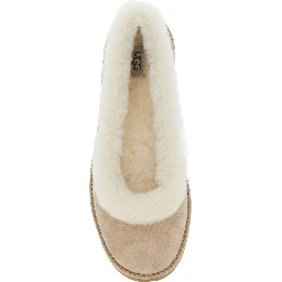 Ballet shoes Zora with Side Logo Lettering in Brown Suede for Women