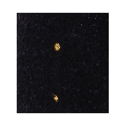 Twin-set Sweaters Black