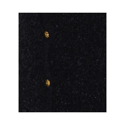 Twin-set Jackets Black