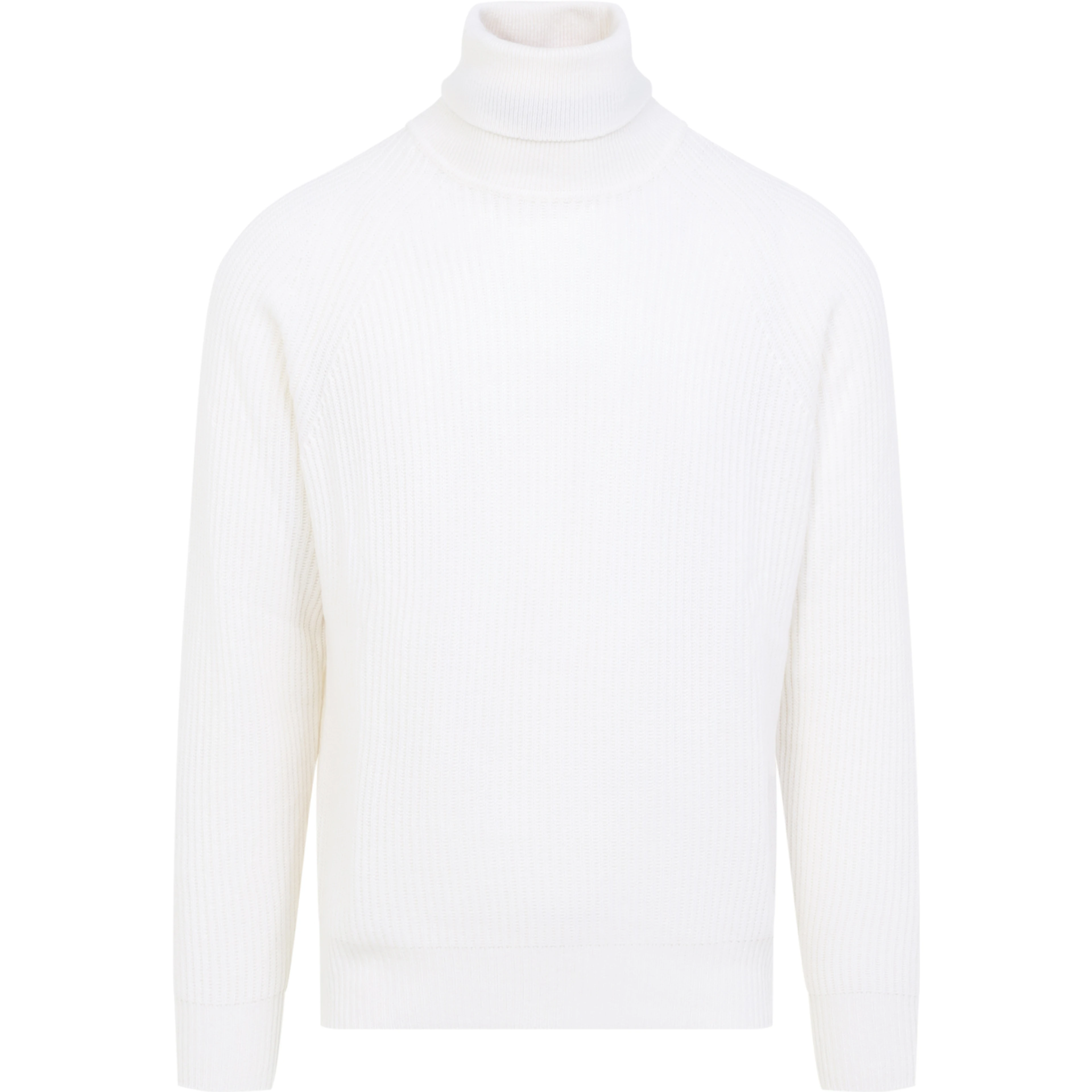 TURTLENECK