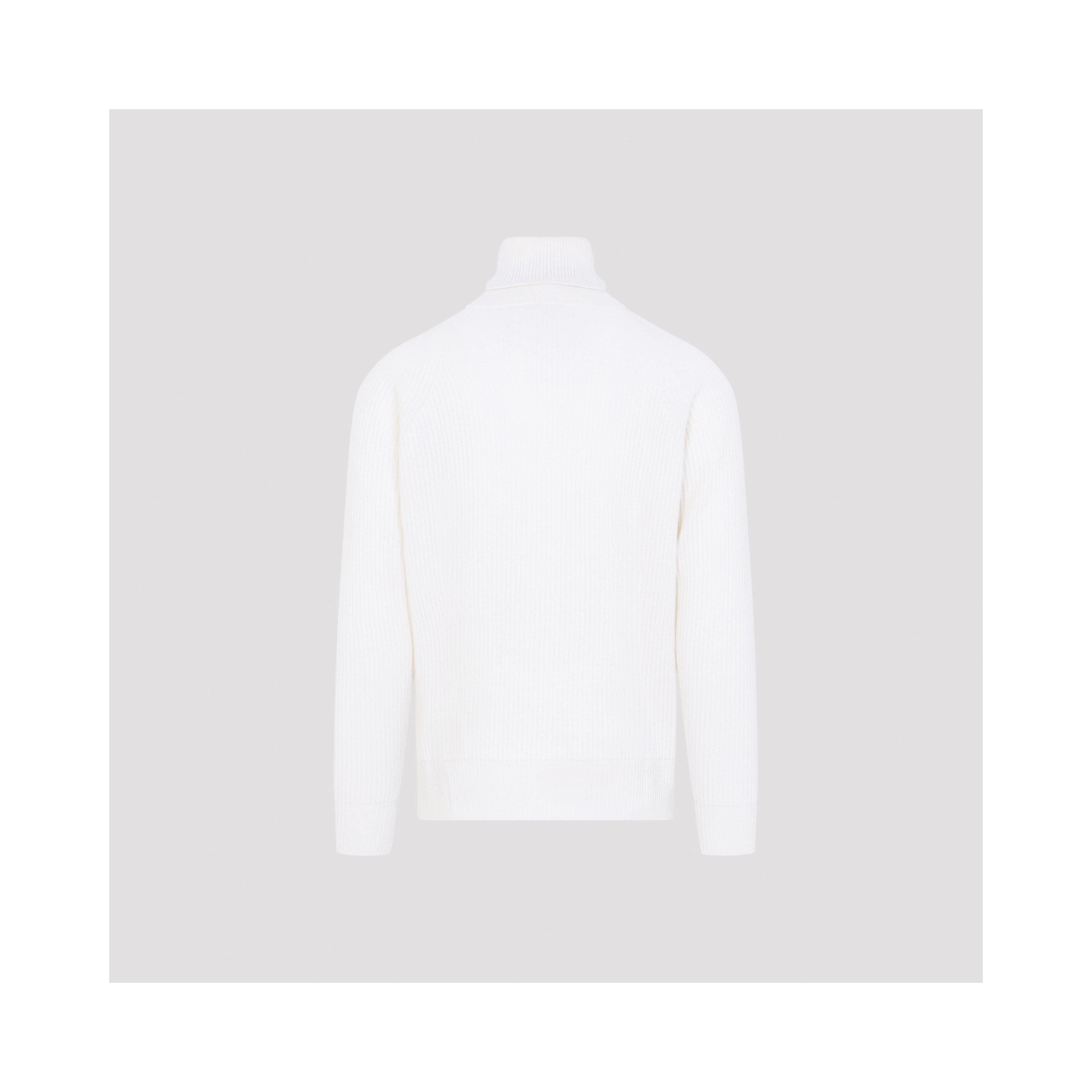 TURTLENECK