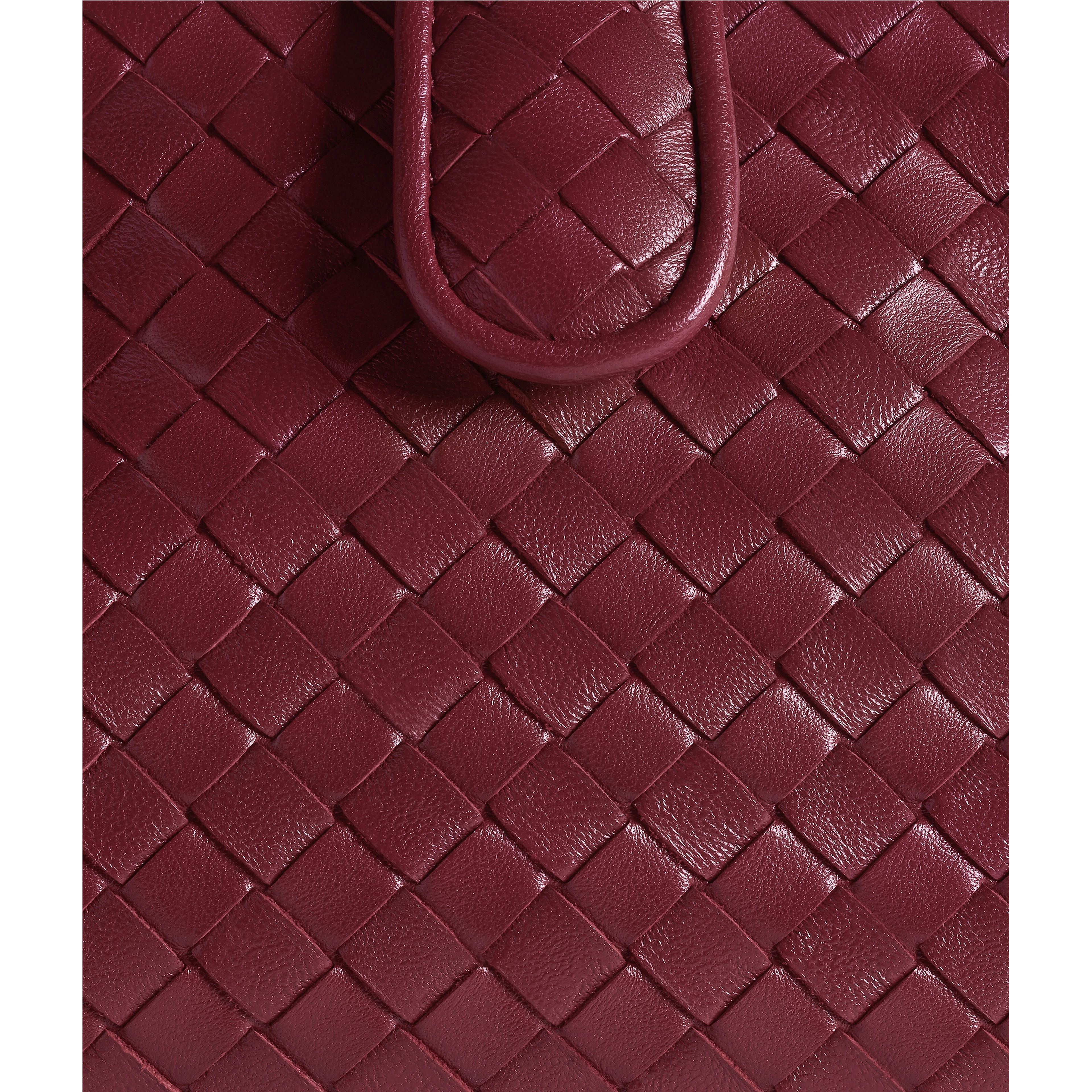 Bottega Veneta Bags
