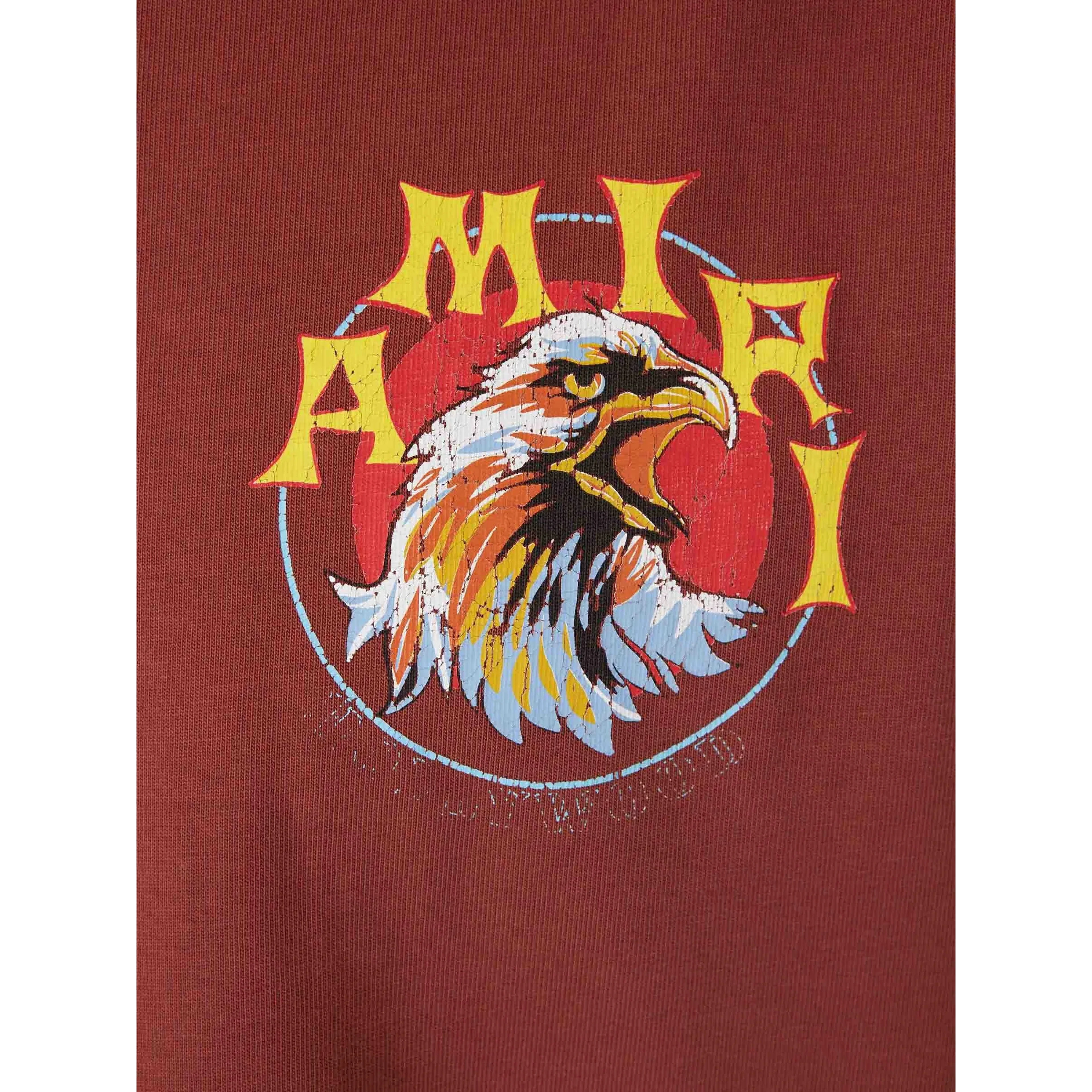 AMIRI T-shirts and Polos