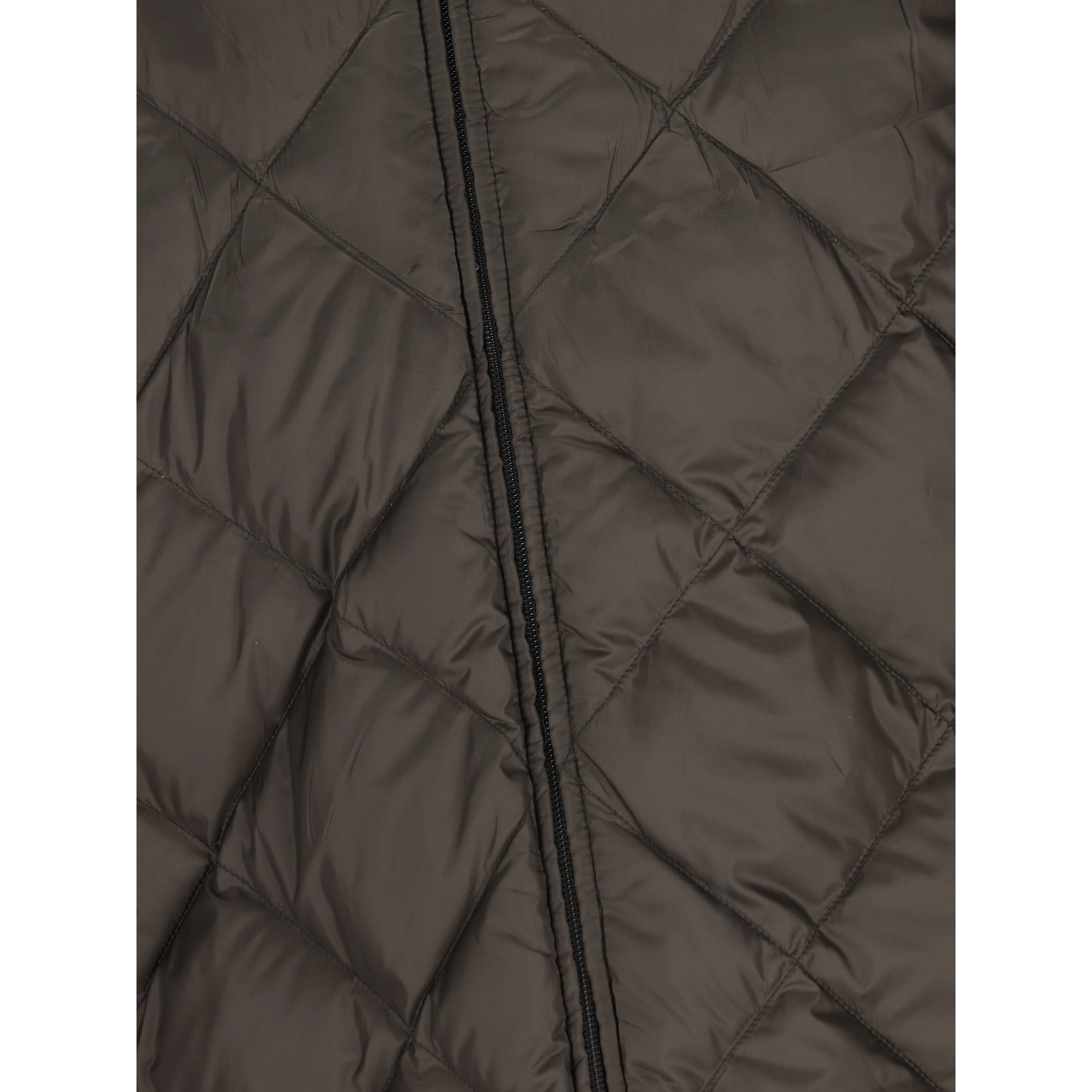 PRADA Coats Green