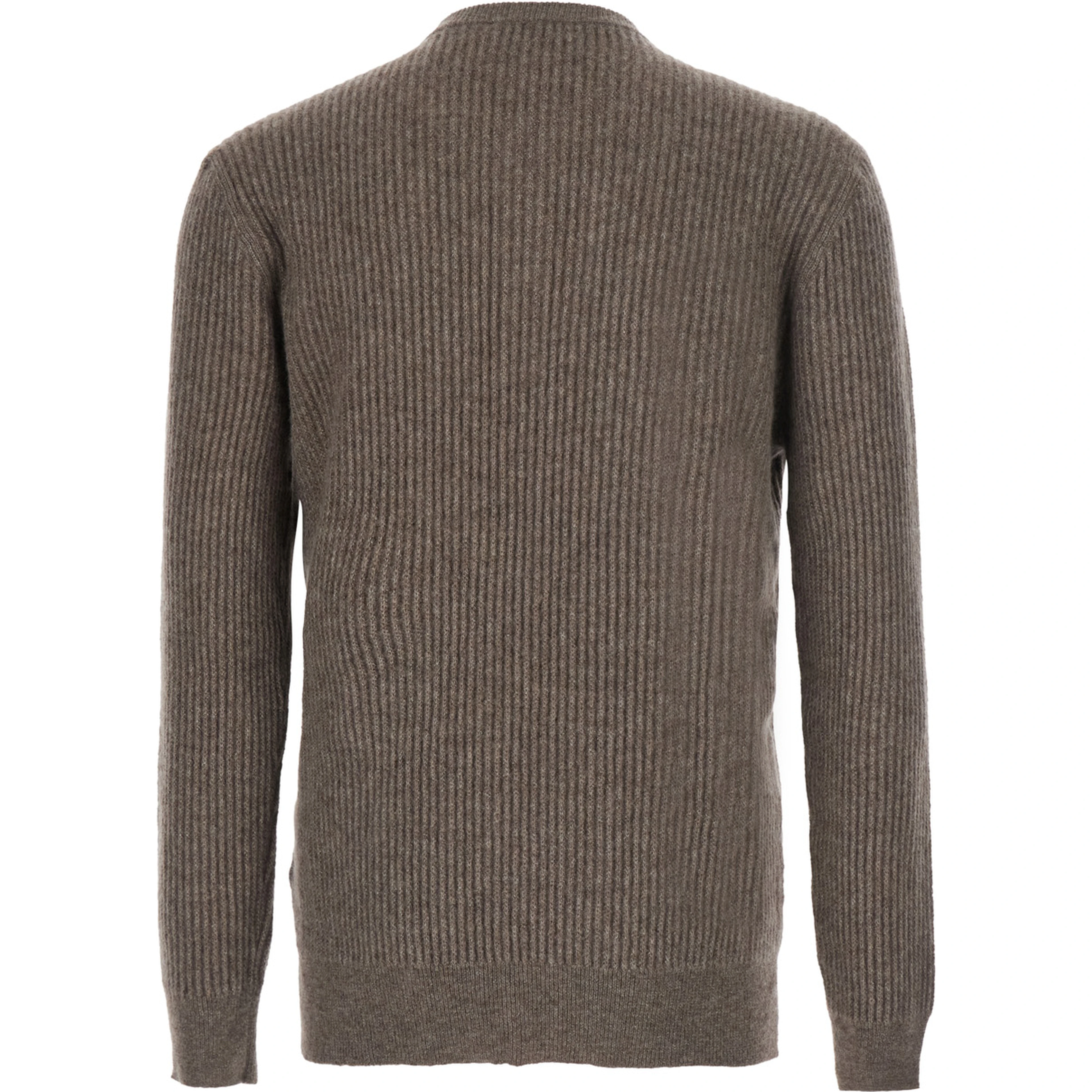 Polo Shirt with Brown Collar