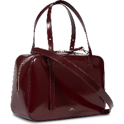 أكياس APC