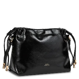 أكياس APC