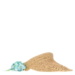 VISOR