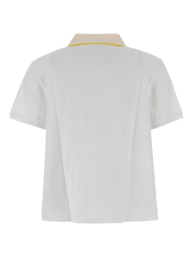 POLO alternative