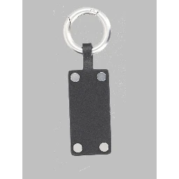 Charm "Numeric"