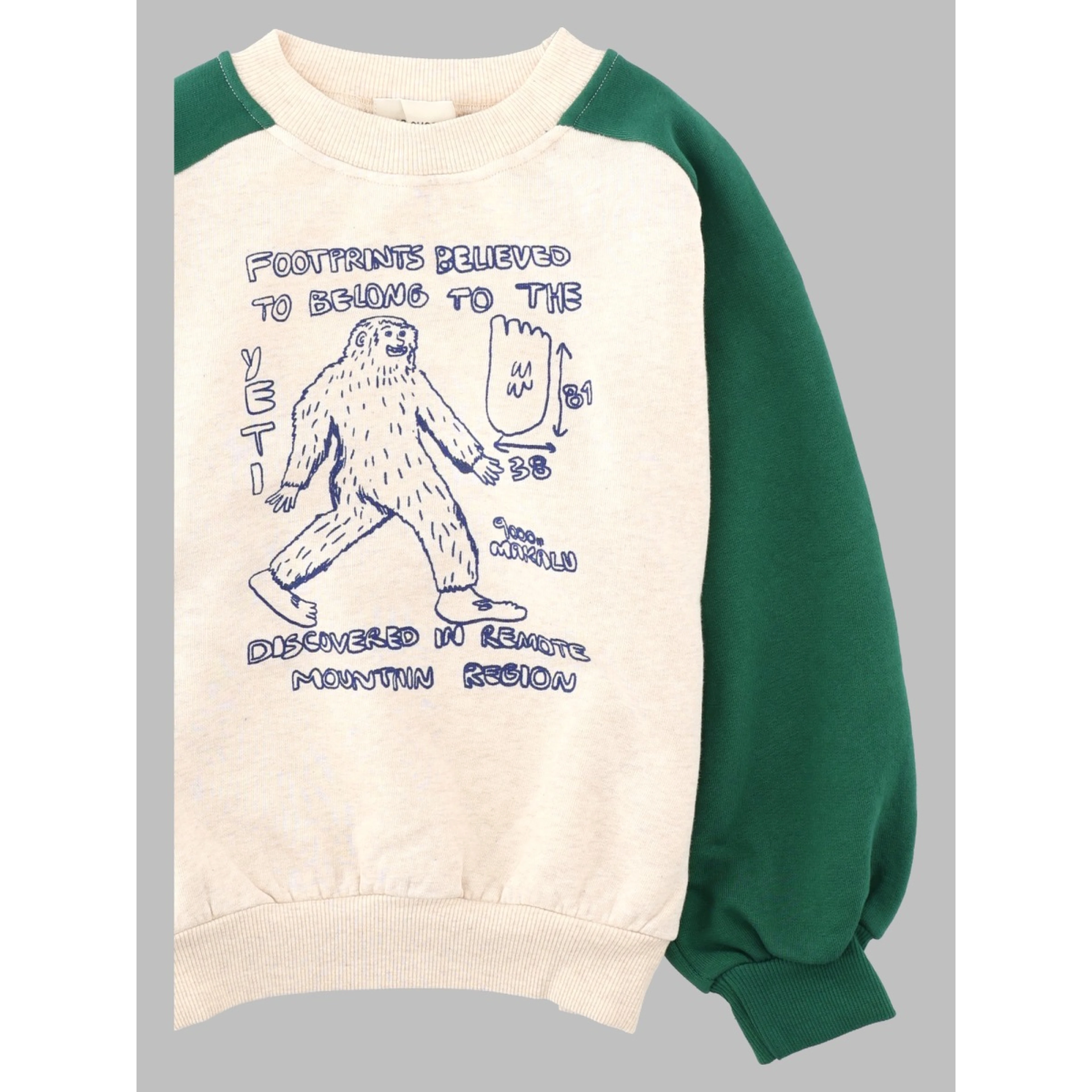 mr. footish raglan sweatshirt