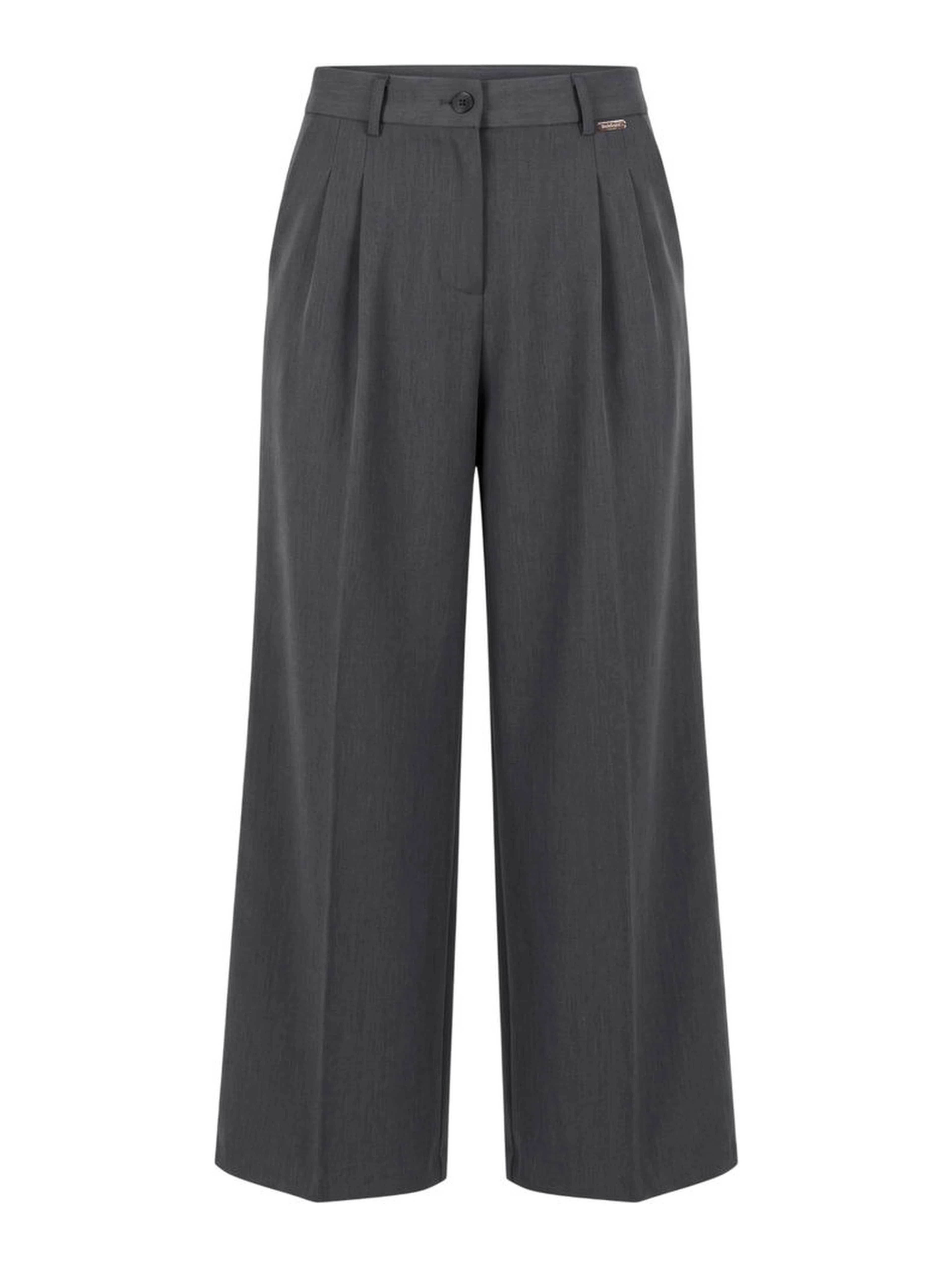 Grey Vi Women Pants