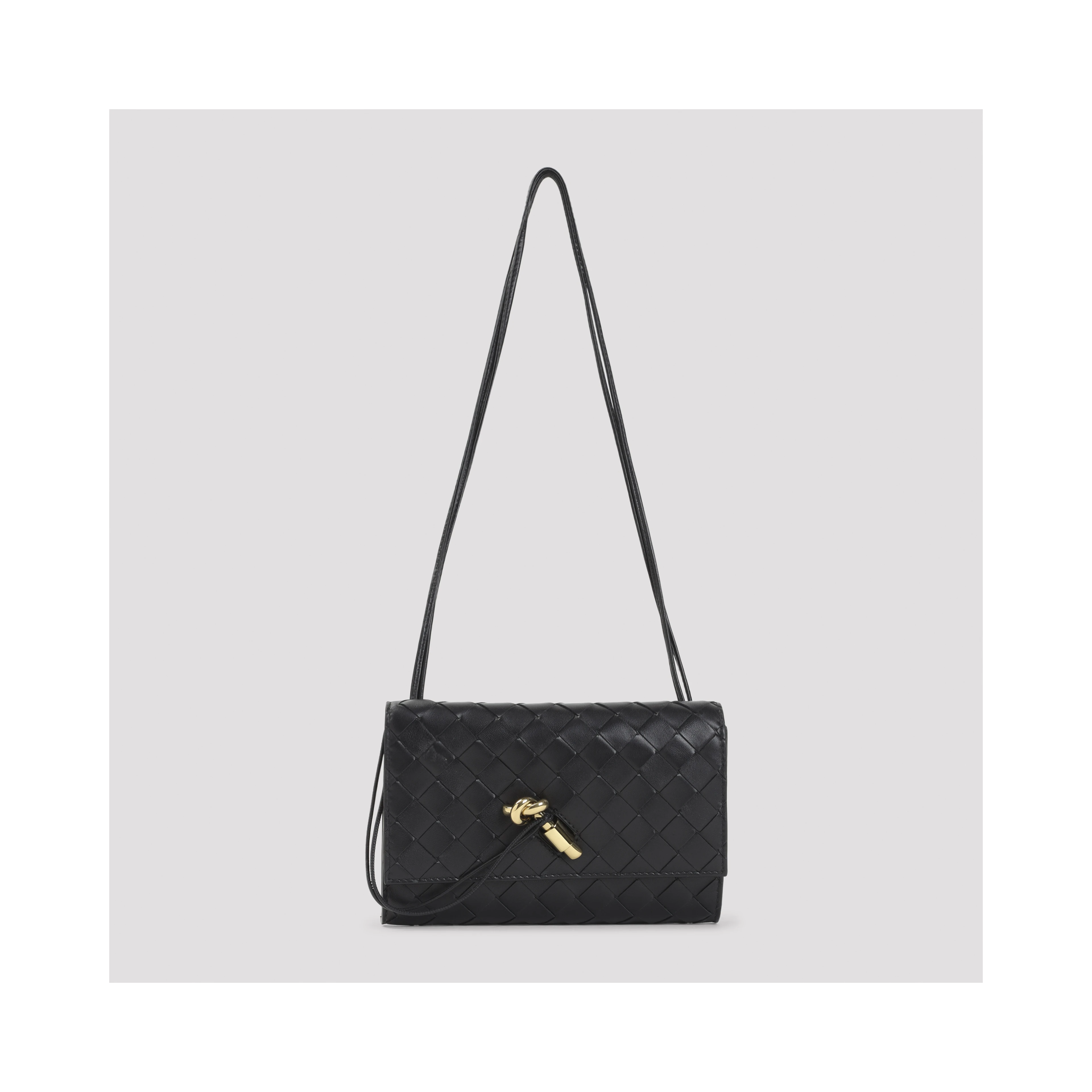 Bottega Veneta Andiamo Slim Pouch