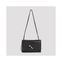 Bottega Veneta Andiamo Slim Pouch