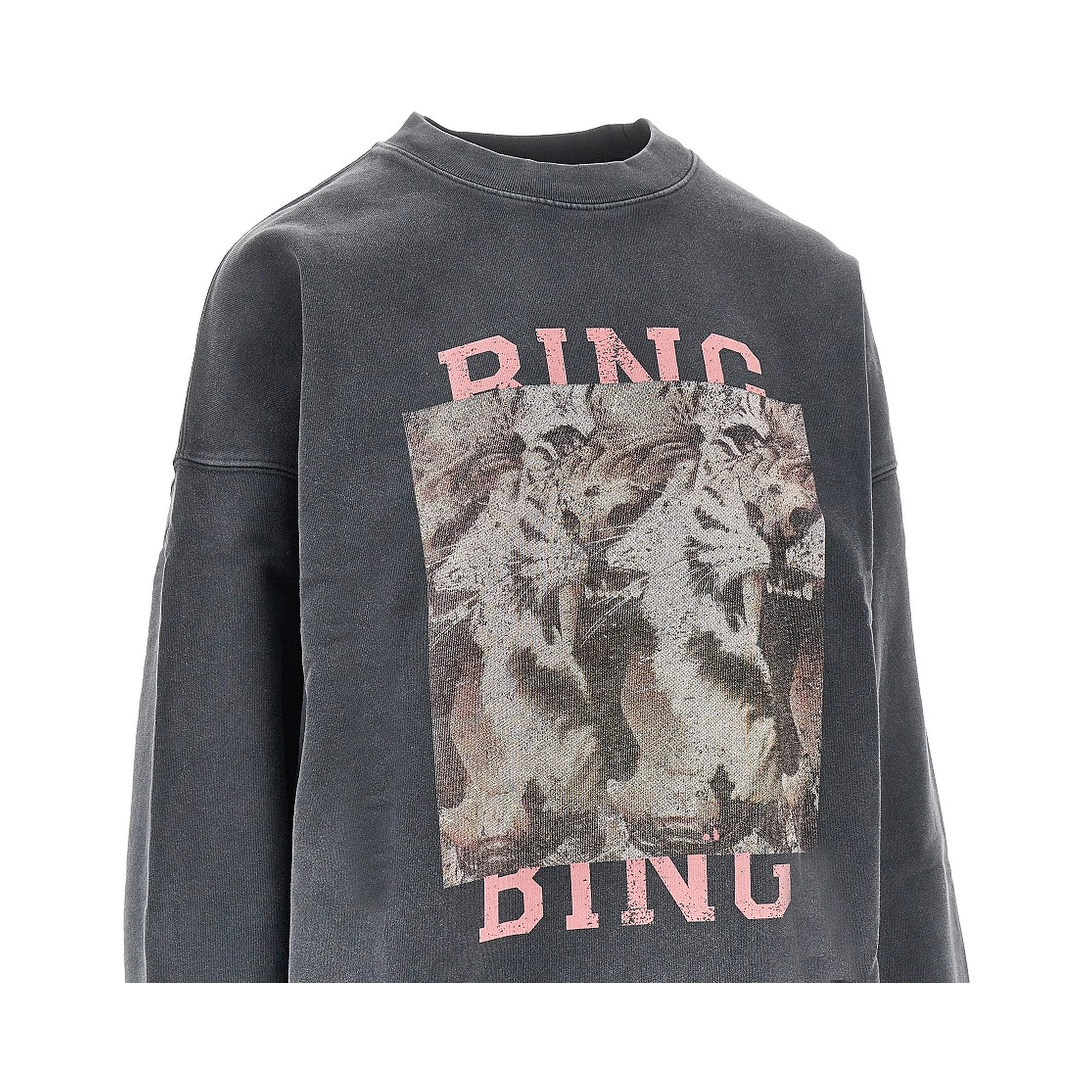 Tiger Bing print 'Miles' sweatshirt