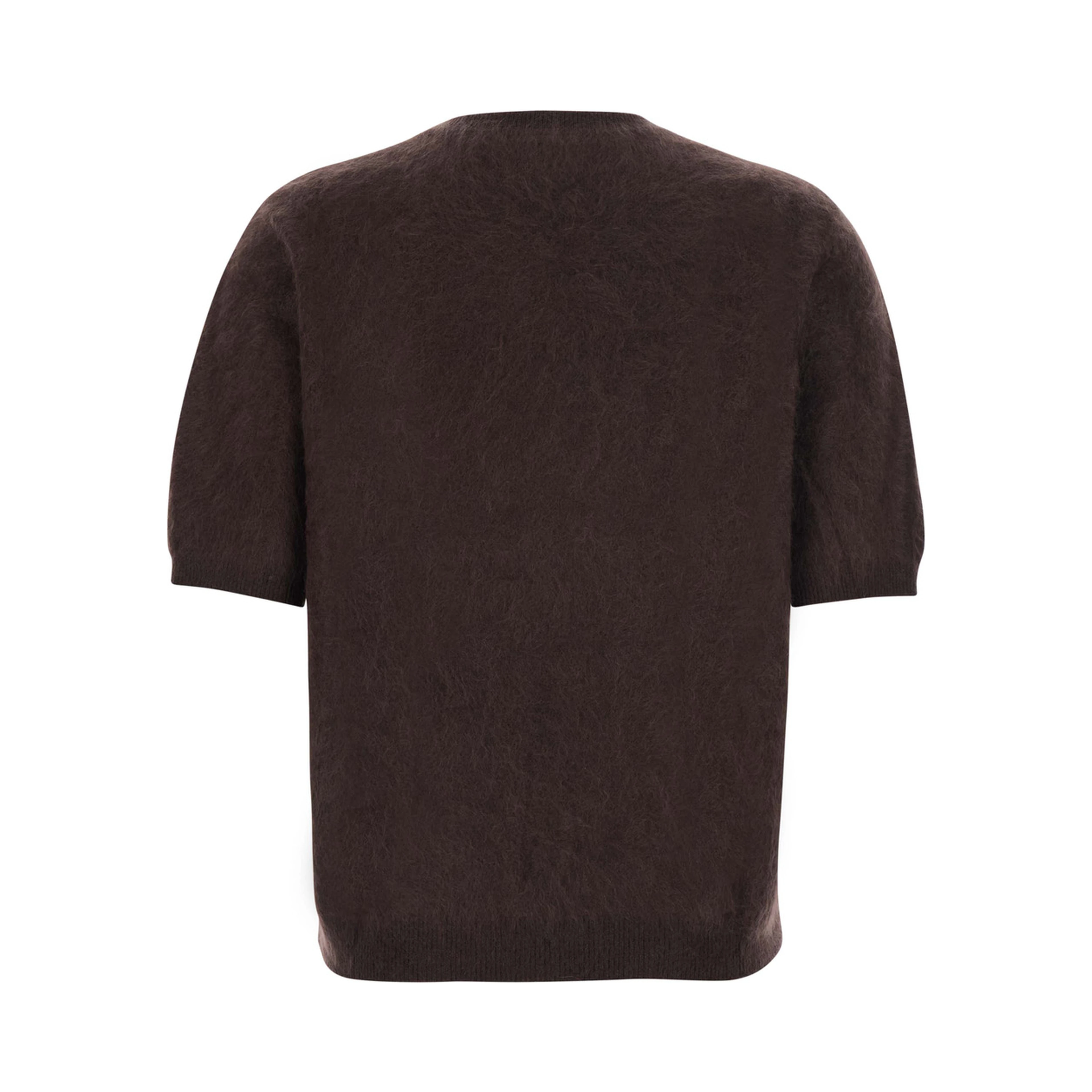 Turtleneck BRUSHED SHORT SLEEVES with short sleeves and round neck in brown cashmere women