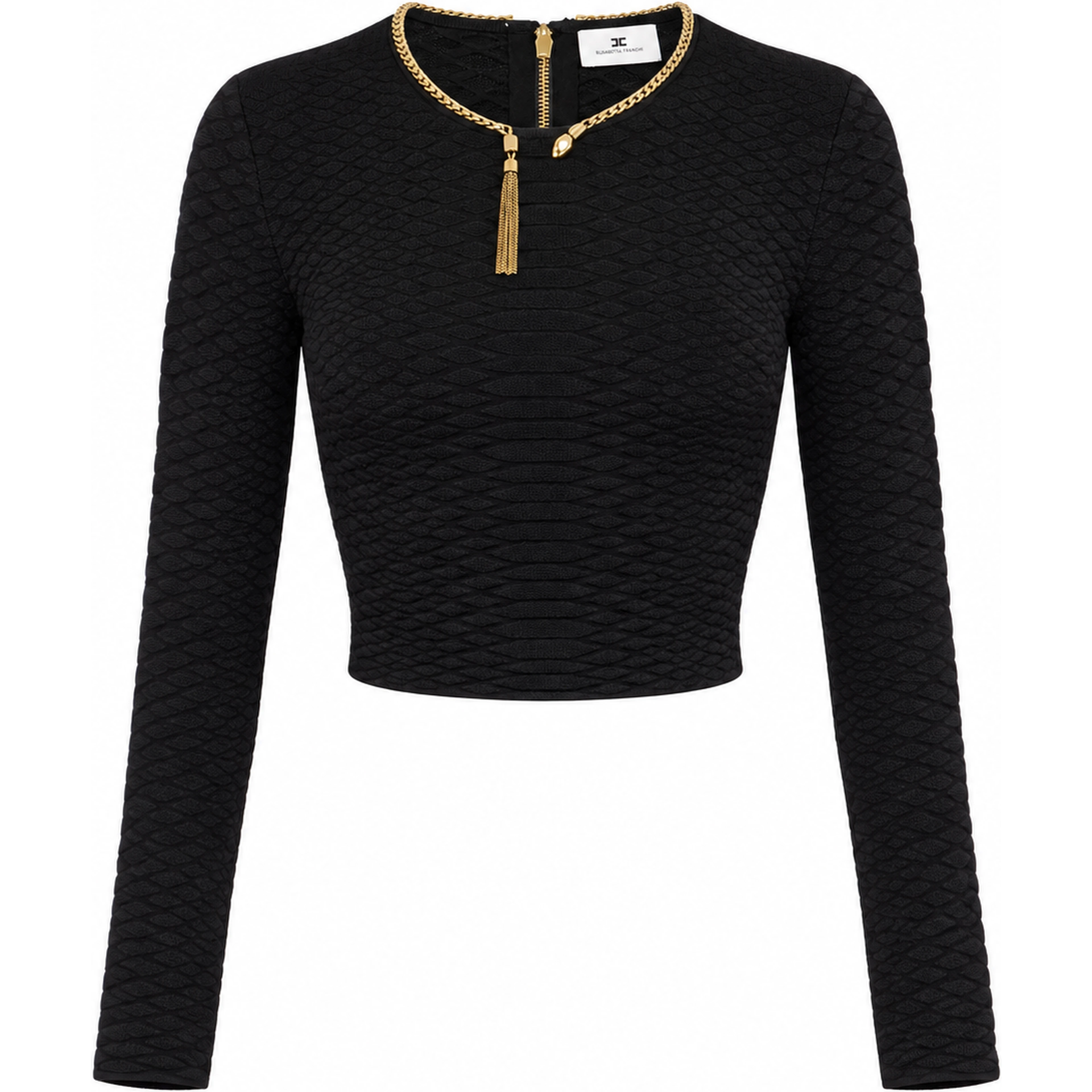ELISABETTA FRANCHI Sweaters Black