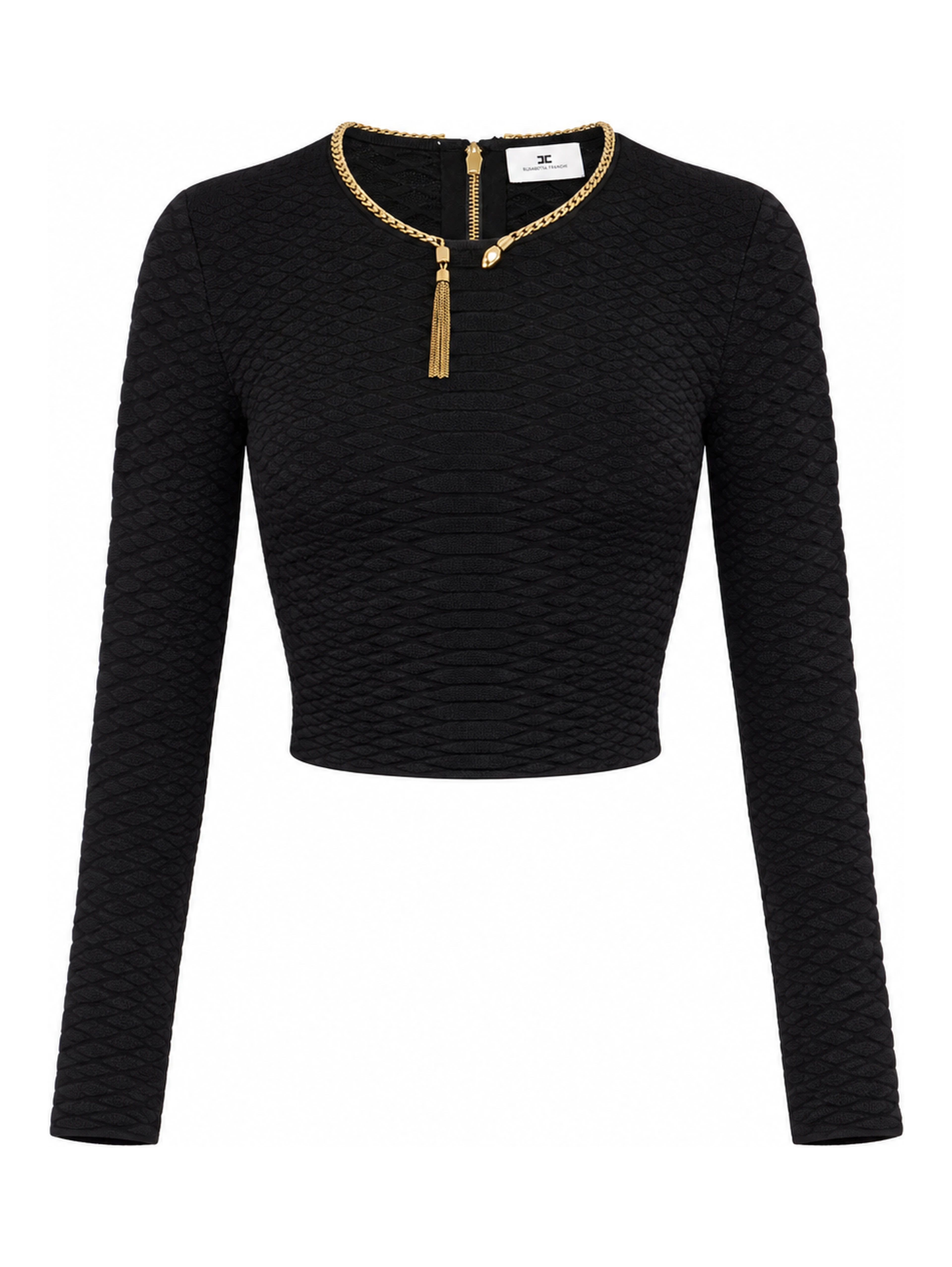 ELISABETTA FRANCHI Sweaters Black