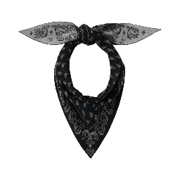 Scarves & Silk scarves