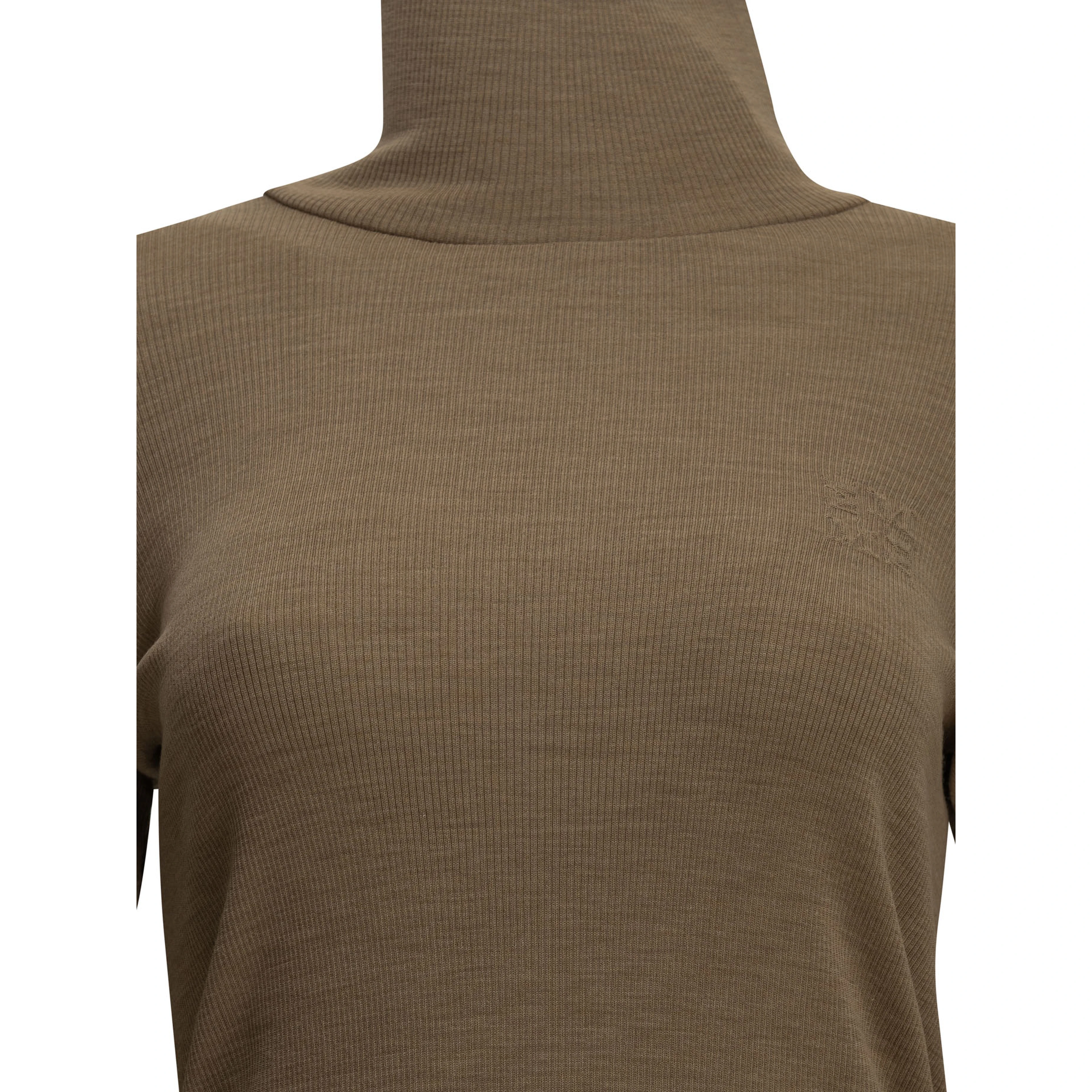 Wool jersey turtleneck sweater