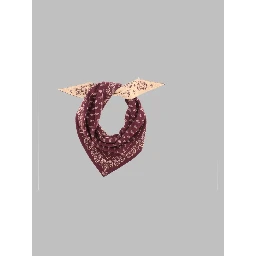 Sciarpa "The Wild Rag" con Motivo Paisley