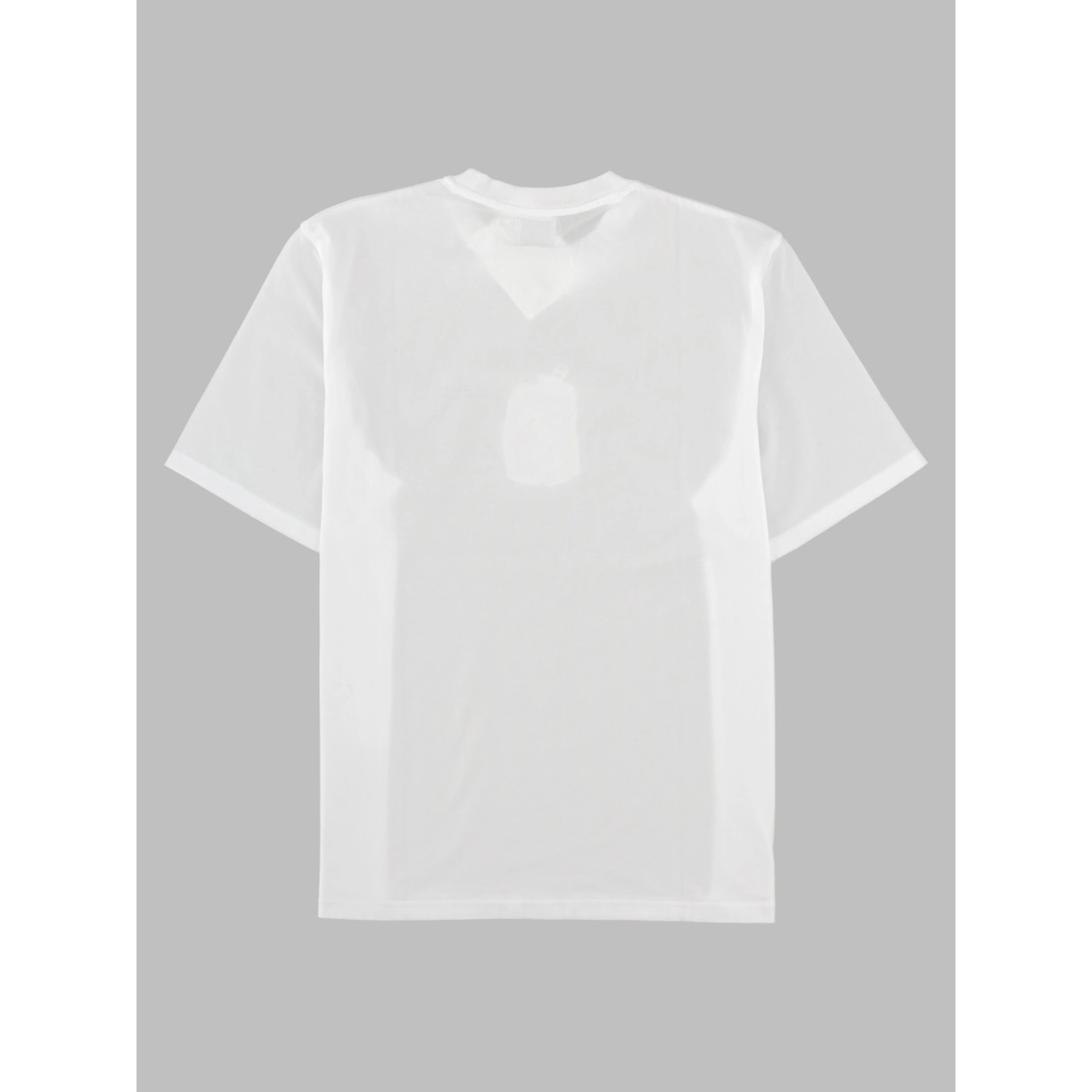 T-Shirt In Cotone Con Stampa