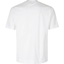 REGULAR TSHIRT COTONE