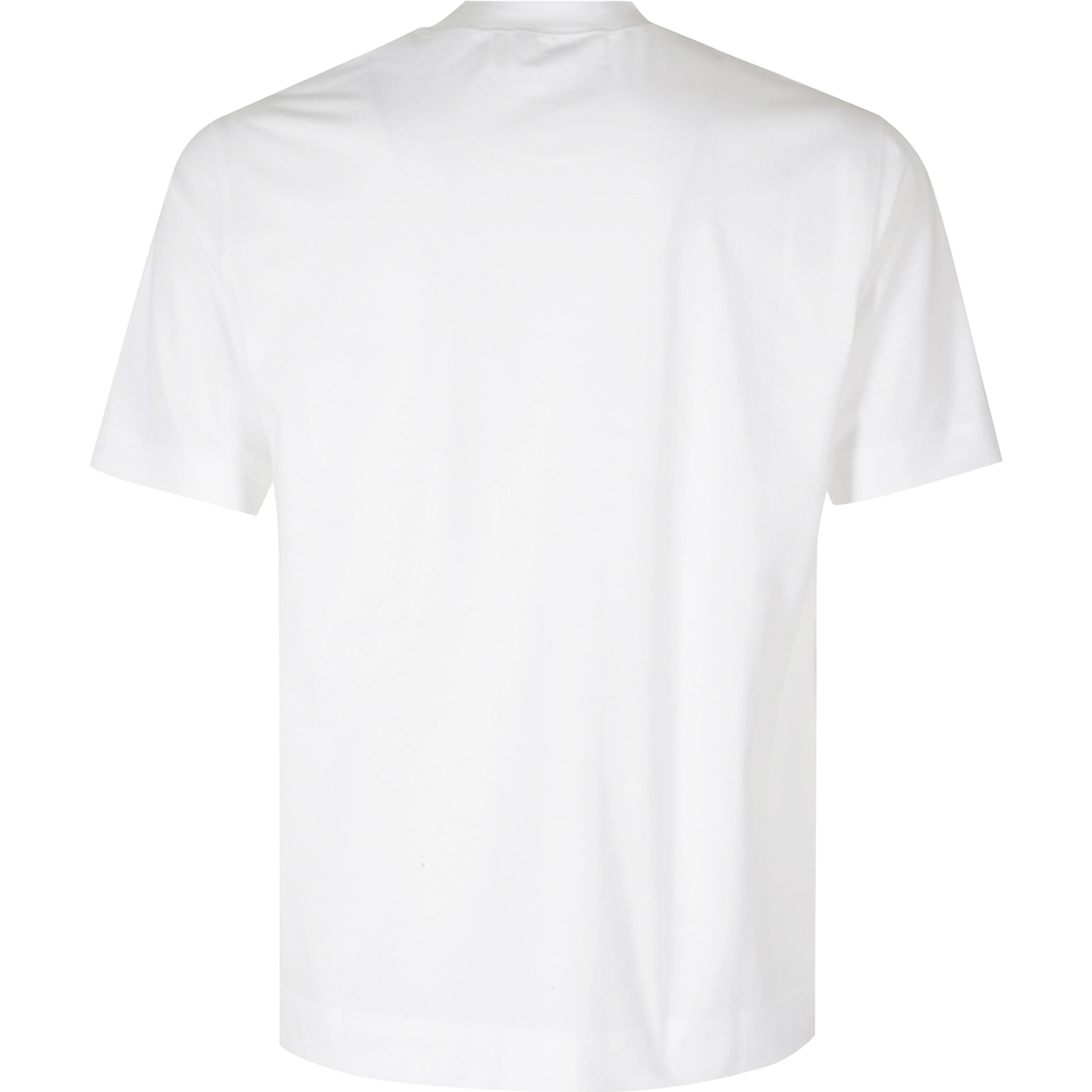 REGULAR TSHIRT COTONE