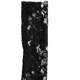 Sleeves Black Nylon Floral Lace Warmer Arm
