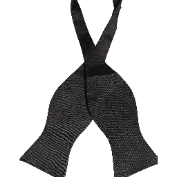 Men Black 100% Silk Adjustable Neck Papillon Bow Tie