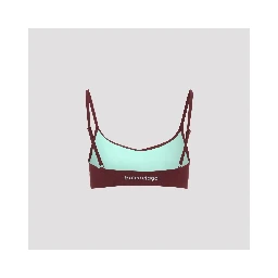 Balenciaga Bra Top
